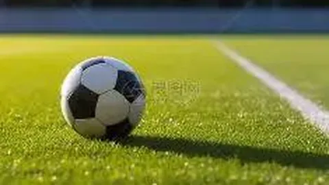 亚冬会女子自由式滑雪空中技巧个人赛决战